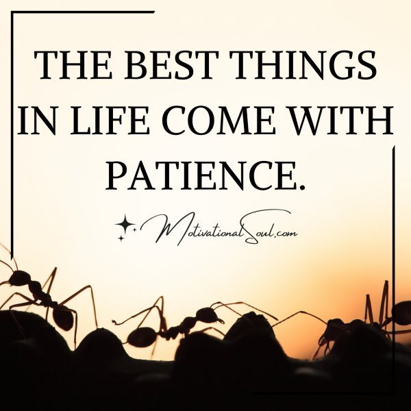 Quote: THE BEST THINGS
IN LIFE COME WITH
PATIENCE.