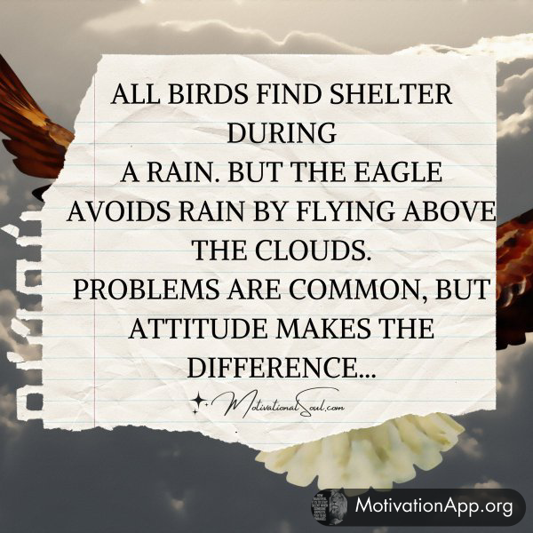 ALL BIRDS FIND SHELTER DURING