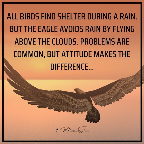 Quote: ALL BIRDS FIND SHELTER DURING
A RAIN. BUT THE EAGLE