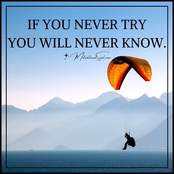 IF YOU NEVER TRY