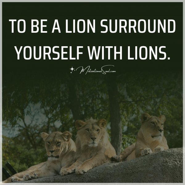 TO BE A LION SURROUND