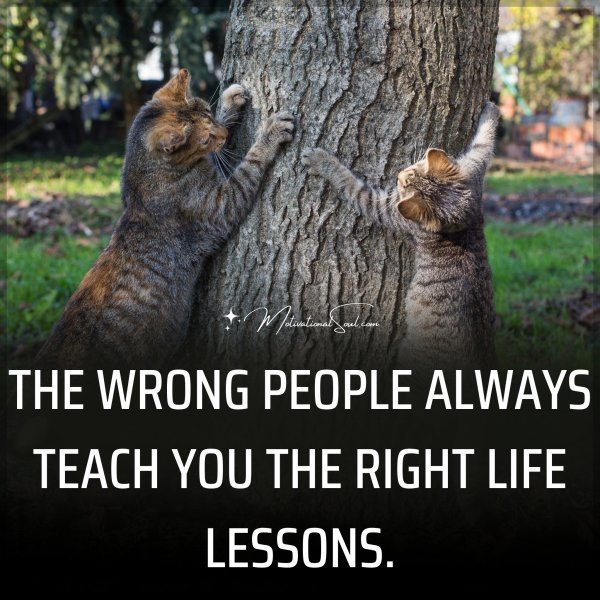 Quote: THE WRONG PEOPLE ALWAYS
TEACH YOU THE RIGHT
LIFE LESSONS