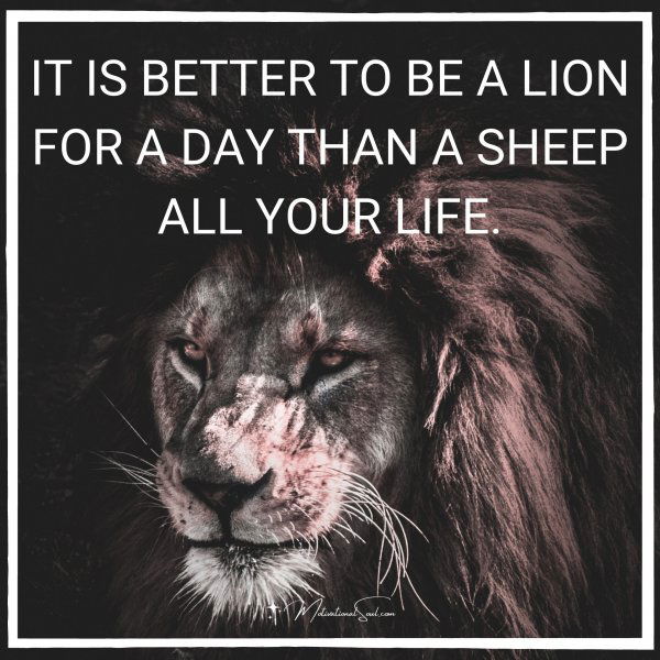 IT IS BETTER TO BE A LION