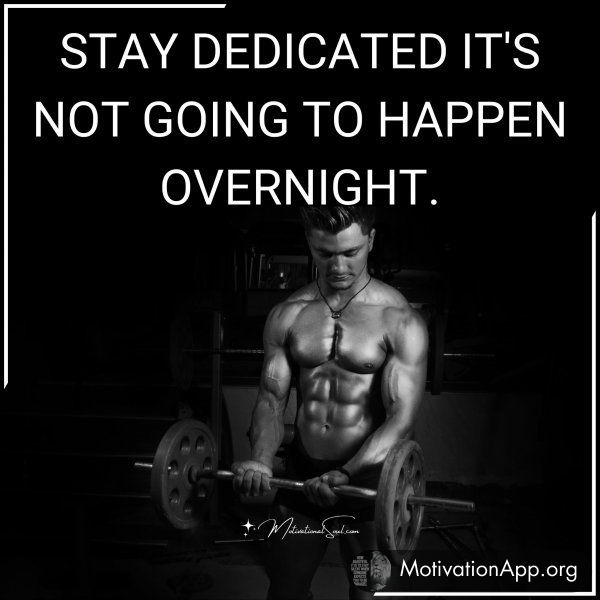 STAY DEDICATED