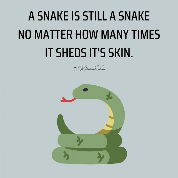 A SNAKE IS STILL A SNAKE