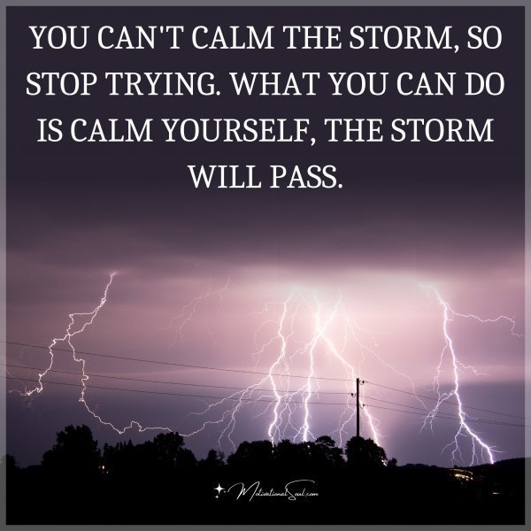 Quote: YOU CAN’T CALM THE STORM, SO STOP
TRYING. WHAT YOU CAN DO