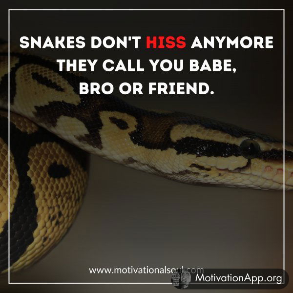 SNAKES NO LONGER HISS