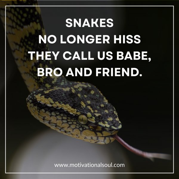 SNAKES