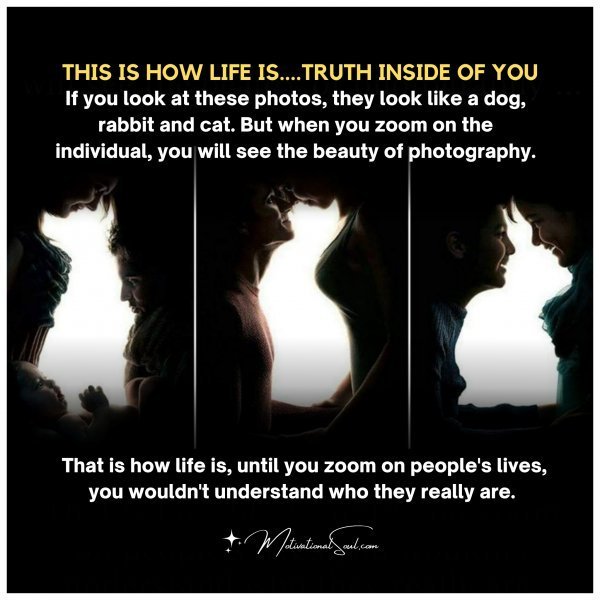 Quote: This Is How Life Is
Truth Inside Of You
If you look at