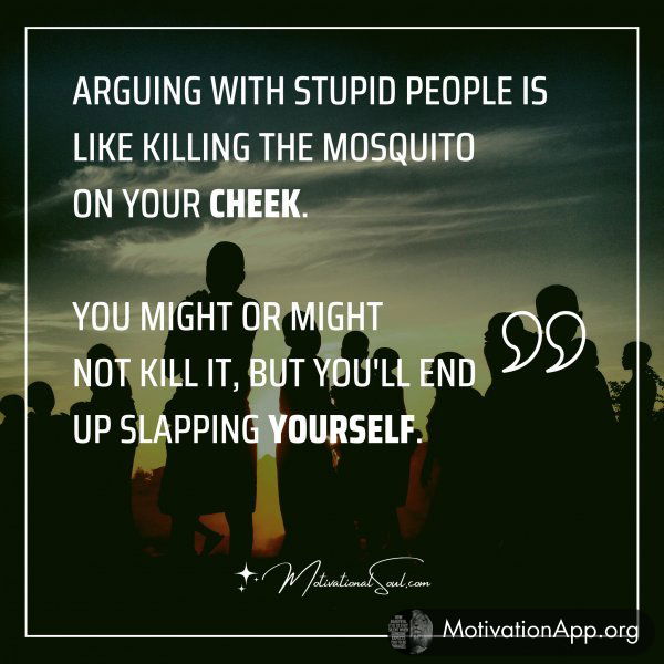 Arguing with stupid