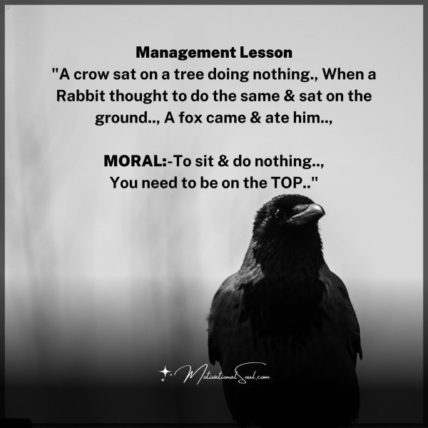 Management Lesson