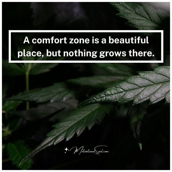 Quote: A comfort zone is a
beautiful place, but
nothing grows