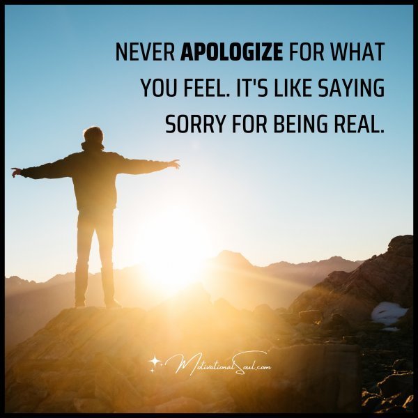 NEVER APOLOGIZE