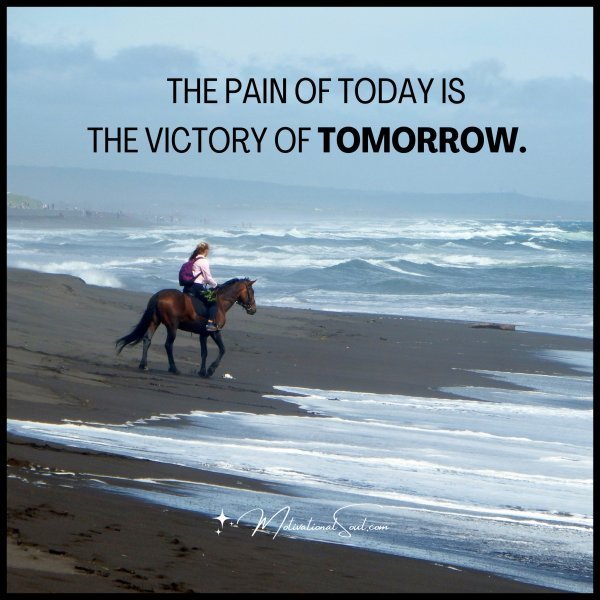 Quote: THE PAIN OF TODAY IS
THE VICTORY OF TOMORROW.