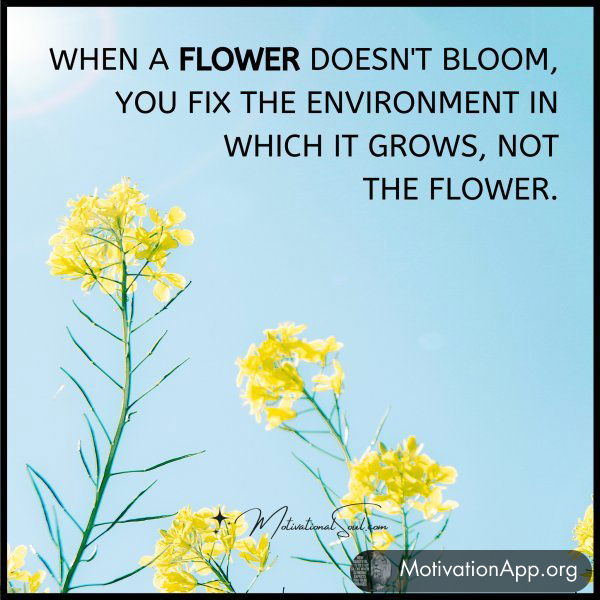 When a flower doesn't bloom