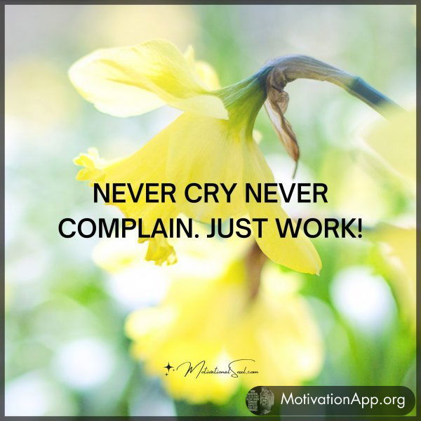 NEVER CRY