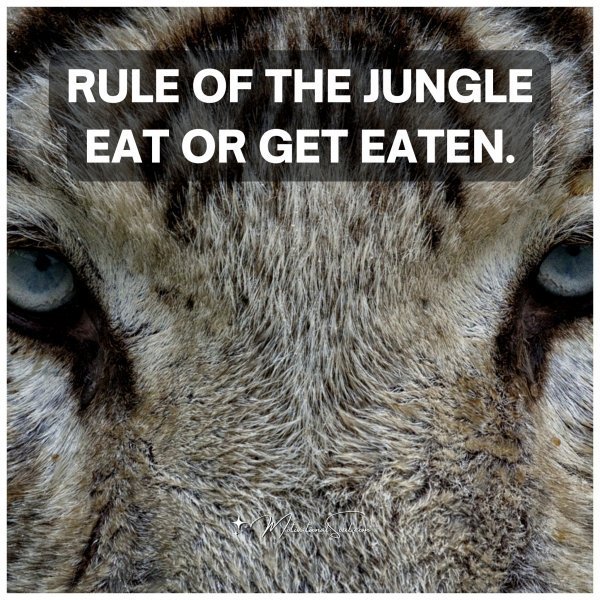 RULE OF THE JUNGLE