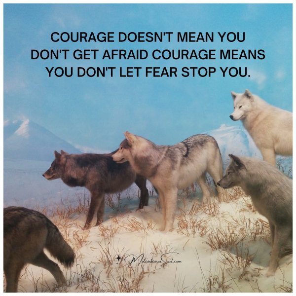 COURAGE DOESN'T MEAN
