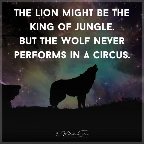 Quote: The lion might be the
king of jungle
But the wolf never