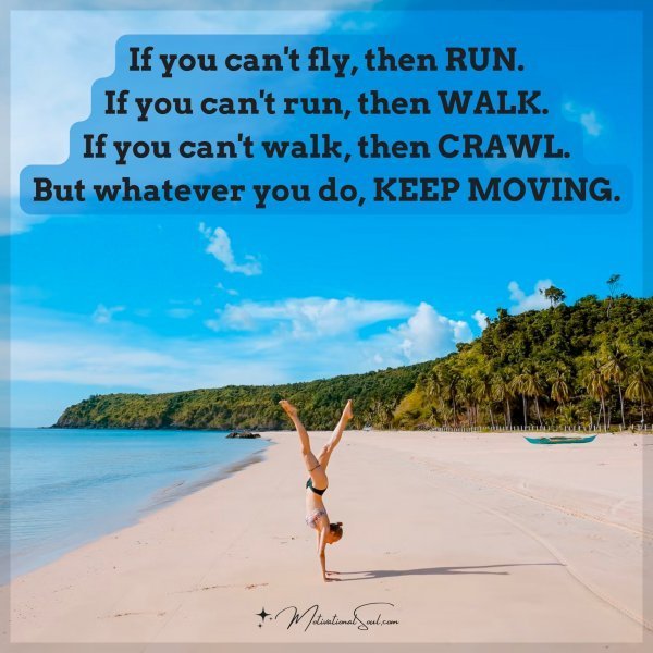 Quote: IF YOU CAN’T FLY, THEN RUN.
IF YOU CAN’T RUN, THEN