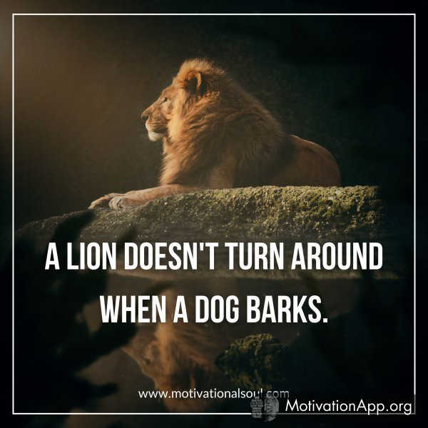 A LION DOESN'T