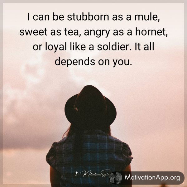 I can be stubborn as a mule