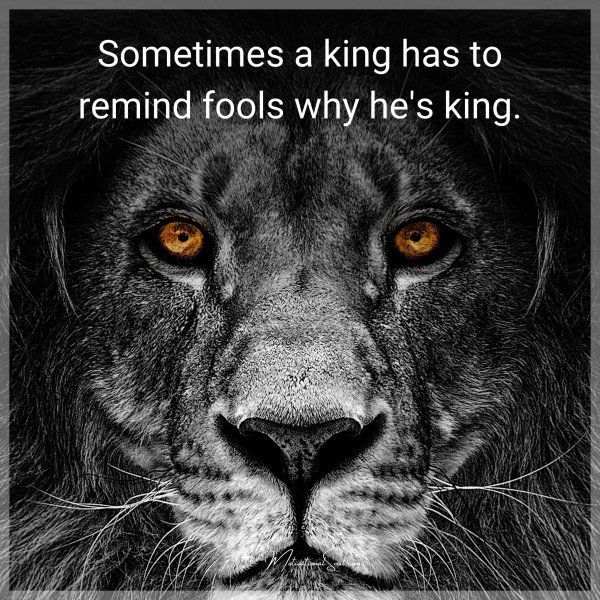 Sometimes a king has to remind fools why he's king.