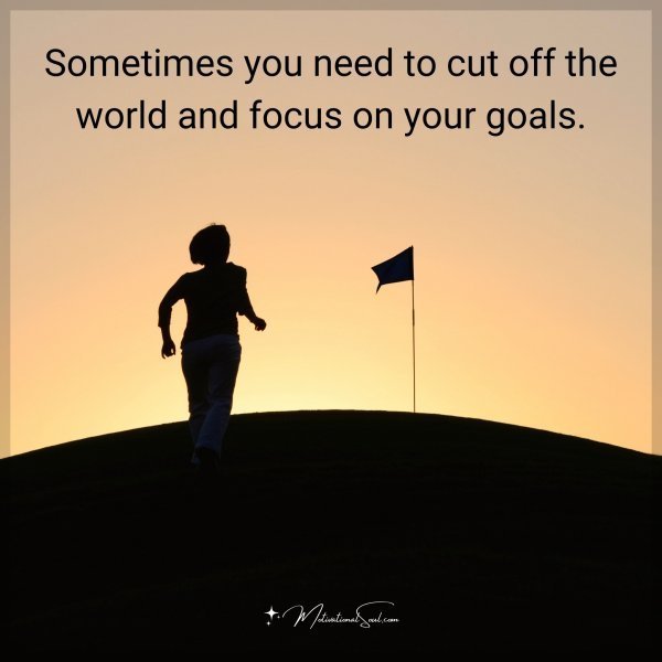 Quote: Sometimes you need to cut off the world and focus on your goals.