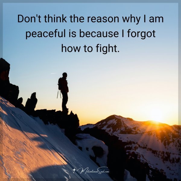 Quote: Don’t think the reason why I am peaceful is because I forgot how