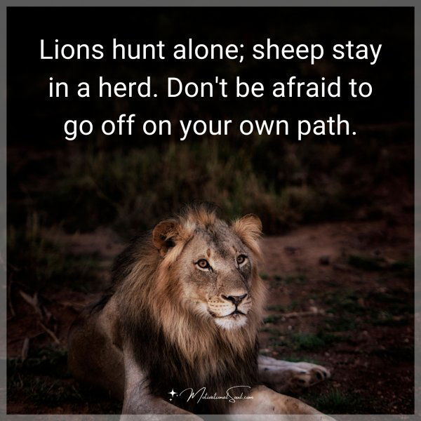 Lions hunt alone; sheep stay in a herd. Don't be afraid to go off on your own path.