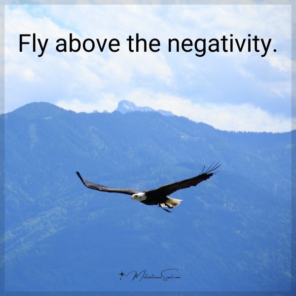 Fly above the negativity.