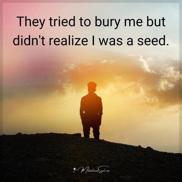 They tried to bury me but didn't realize I was a seed.