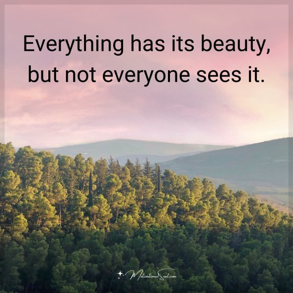 Quote: Everything has its beauty, but not everyone sees it.