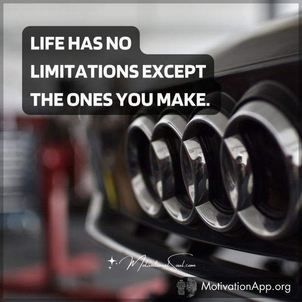 LIFE HAS NO LIMITATIONS EXCEPT THE ONES YOU MAKE.