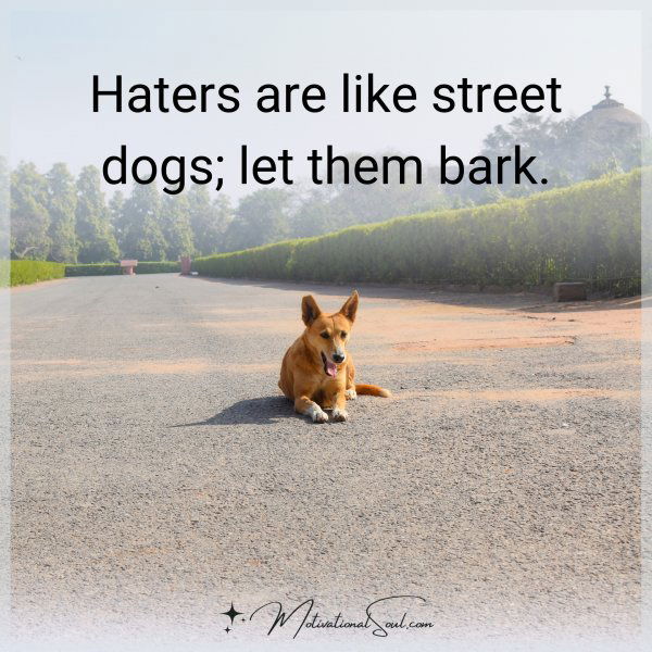 Haters are like street dogs; let them bark.