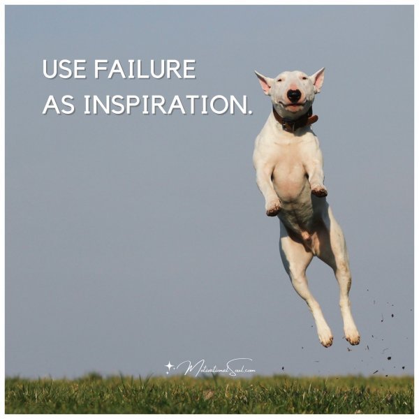Quote: USE FAILURE
AS INSPIRATION.
