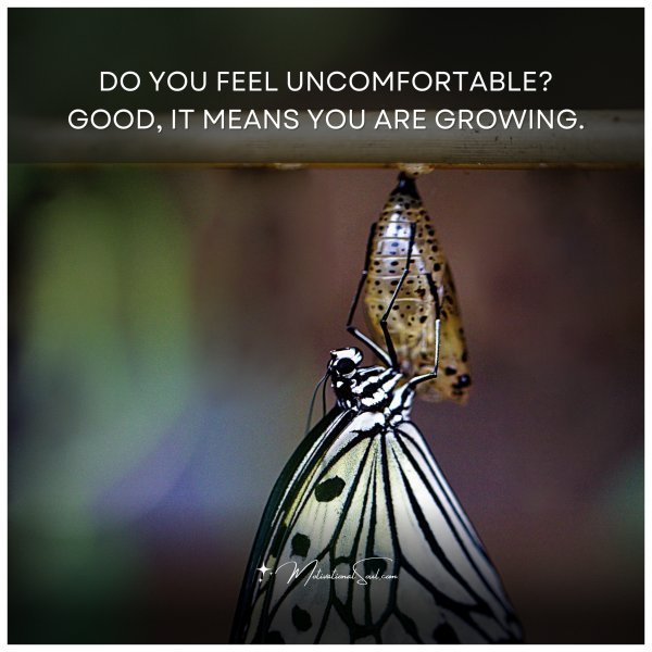 Quote: DO YOU FEEL
UNCOMFORTABLE?
GOOD, IT MEANS
YOU ARE