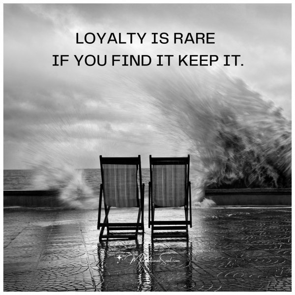 Quote: LOYALTY IS RARE
IF YOU FIND IT
KEEP IT.
