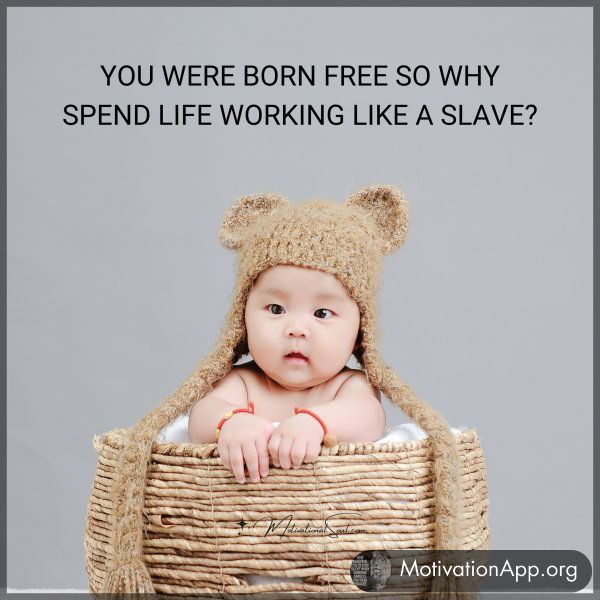 YOU WERE BORN FREE