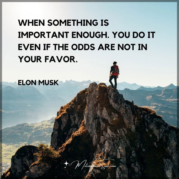 WHEN SOMETHING IS IMPORTANT ENOUGH. YOU DO IT EVEN IF THE ODDS ARE NOT IN YOUR FAVOR. - ELON MUSK