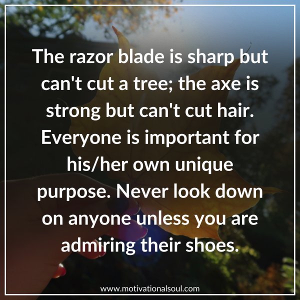 Quote: The razor blade is sharp but
can’t cut a tree, the axe is