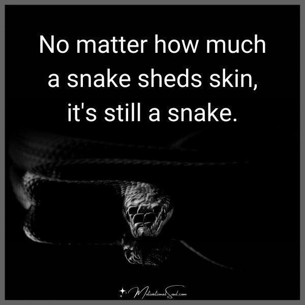 No matter how much a snake sheds skin