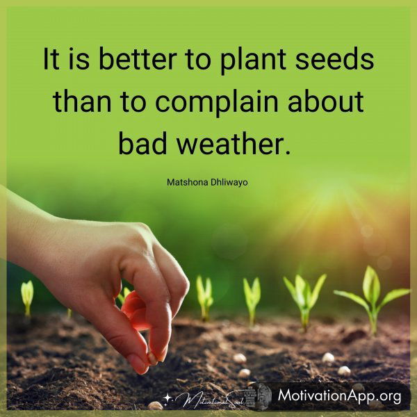 It is better to plant seeds