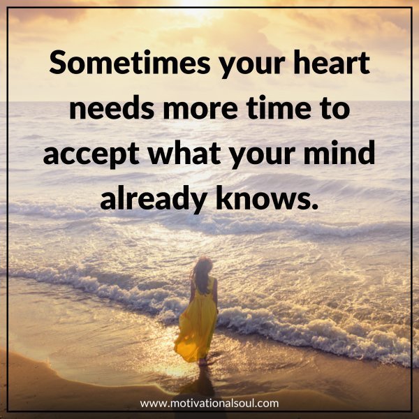 Quote: Sometimes your heart
needs more time to accept
what your