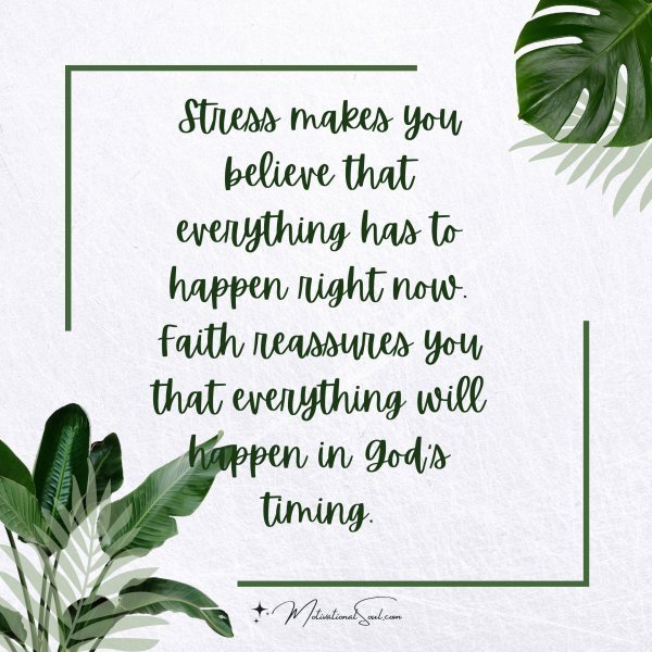 Quote: StresS
makes you
believe that
everything has to