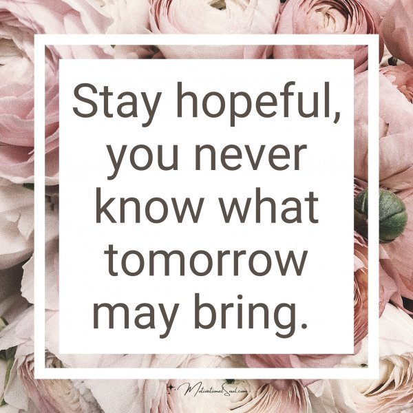 Quote: Stay hopeful,
you never
know what
tomorrow may