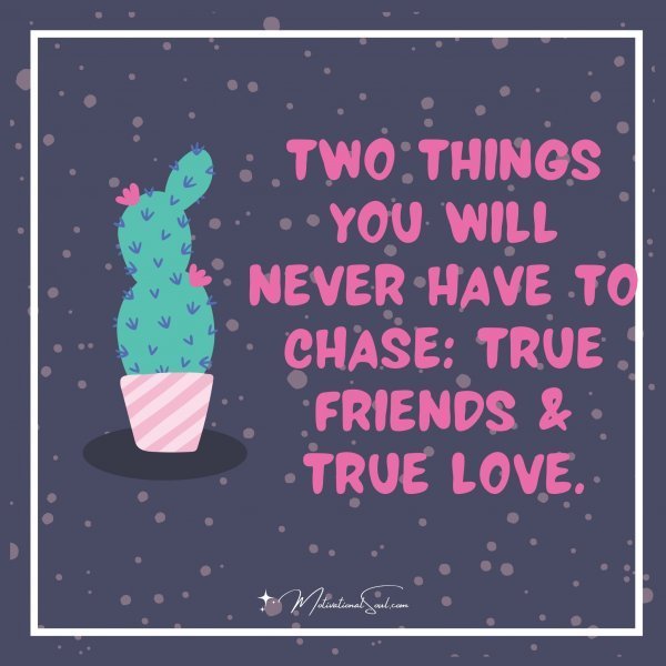 Quote: Two things
you will never
have to chase:
True