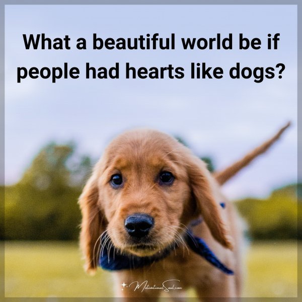 What a beautiful world be if people had hearts like dogs?