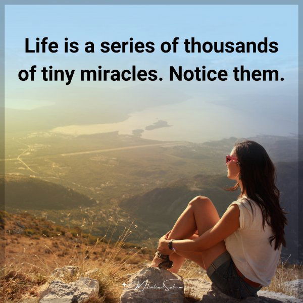 Life is a series of thousands of tiny miracles. Notice them.