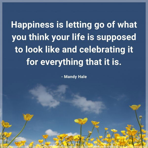 Happiness is letting go of what you think your life is supposed to look like and celebrating it for everything that it is. - Mandy Hale